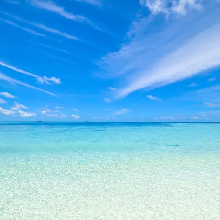 Victoria Palace & Zen Wellness 4* Gallipoli