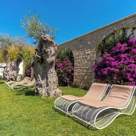 فندق Victoria Palace & Zen Wellness 4*